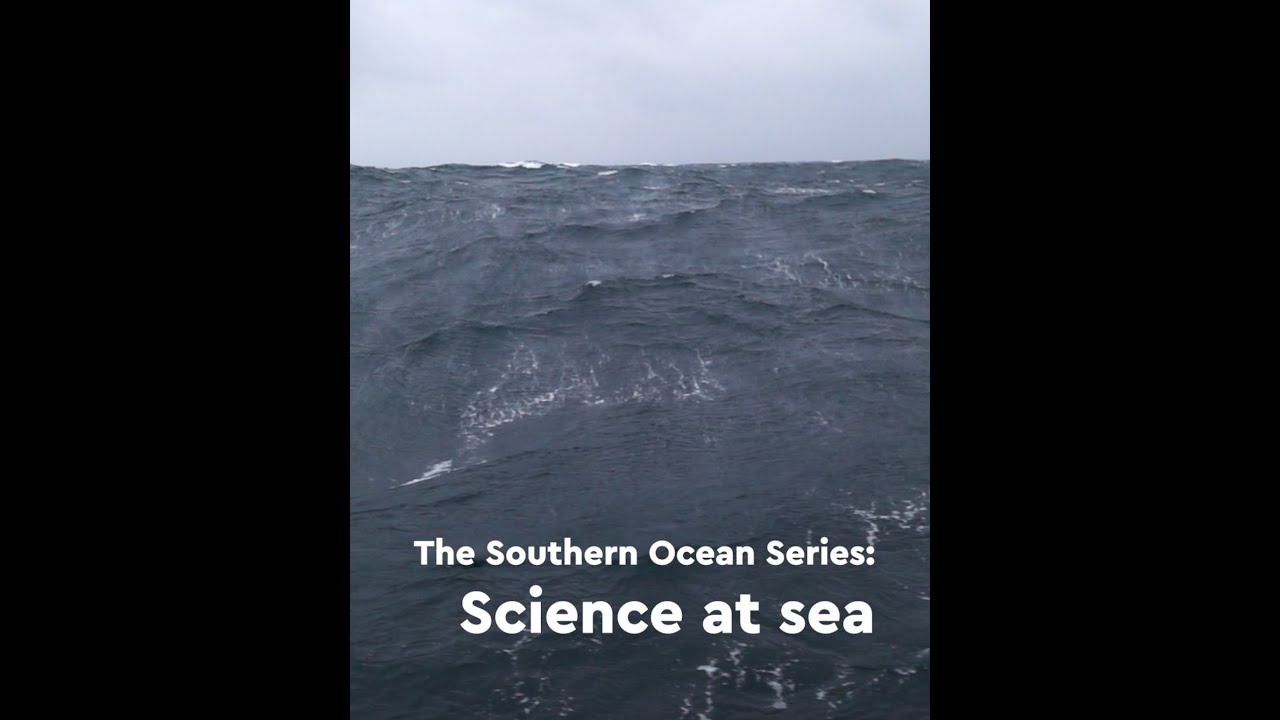 Science at sea