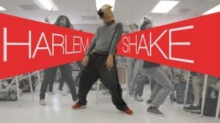 THE PHYSICS OF HARLEM SHAKE
