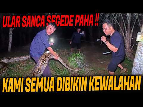 SNAKE TERROR IN THE SUMMER!! EVACUATING A PYTHON AS THICK AS A THIGH FROM A RESIDENT'S GARDEN