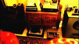 Marantz 8b