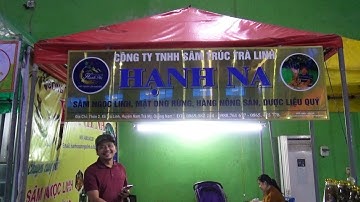 SÂM NGỌC LINH HẠNH NA II Phiên chợ sâm Ngọc Linh