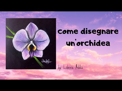 Video: Come Disegnare Un'orchidea