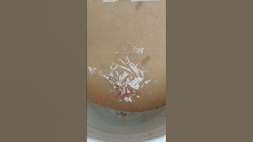 Easy Build a Mouse Trap Bucket, Homemade  Best Mouse Trap#short