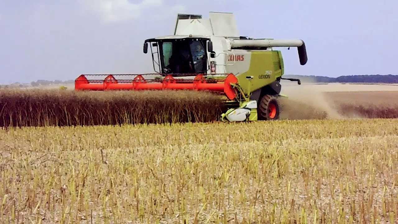 Harvesting Aspire WOSR 2019