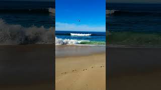 Nov 9 2025 #california #beach #nature #montereycalifornia #soothing