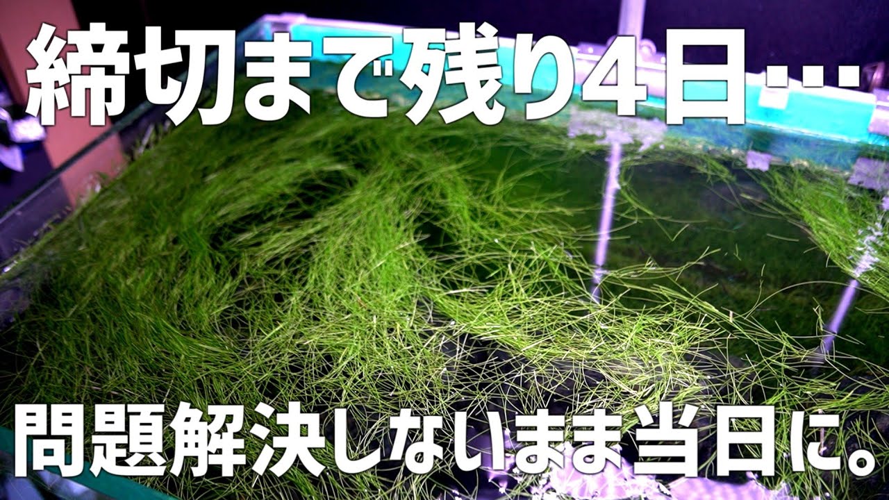 What will they do?! A big problem is coming up as the contest