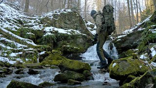 Into the Wilderness: Quest for an Ancient Old-Growth Forest.. by Smooth Gefixt 9,052 views 8 months ago 5 minutes, 9 seconds