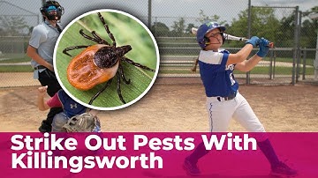 Live Your Life and Leave the Pest Control to Killingsworth