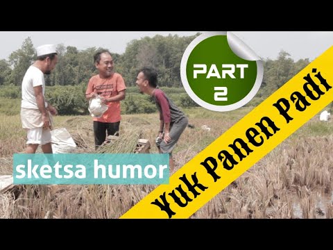 Dari gabah jadi beras // Begini proses singkatnya //part1
