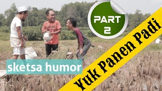 Dari Gabah Jadi Beras Begini Proses Singkatnya Part1