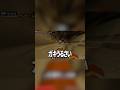 中学校の先生やってる友達の話　#shortvideo #shorts #マイクラ #マインクラフト #minecraft
