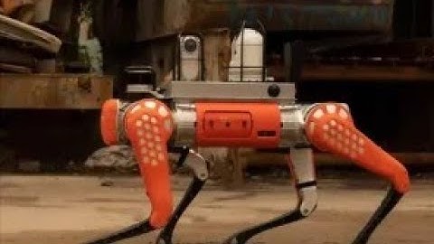 Robotic Dogs Join Firefighters! How AI is Revolutionizing Fire Rescue in China