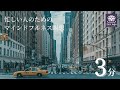 【瞑想誘導】忙しい人のための3分間マインドフルネス瞑想