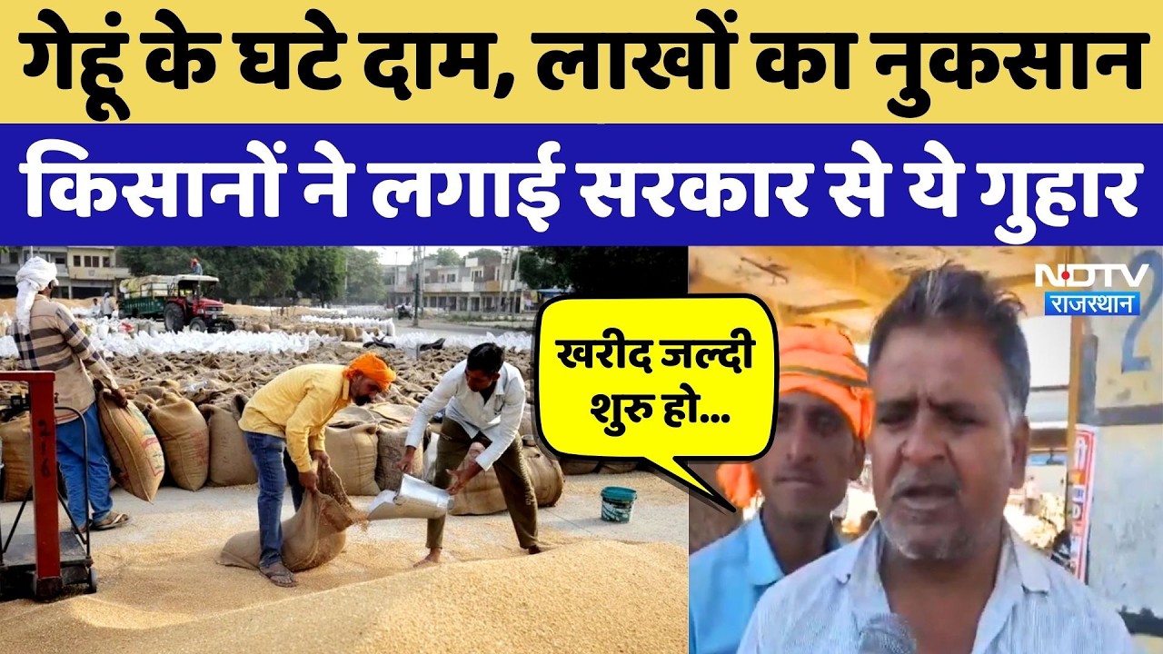 Baran News: मंडी में गेहूं के गिरते भाव से किसान परेशान! Rajasthan Farmers News | Top News | Latest