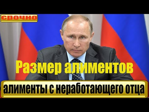 Вы должны знать! Размер алиментов с неработающего отца в 2021 году