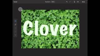 Layer Masks for iPad screenshot 4