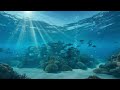 Functional Meditation by The Brain | 10 Hour Calm Session for Focus, Reset &amp; Sleep
