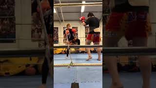 2018122201 toellgym.com