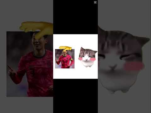 담담 디디디디ㅣ디디디디ㅣ디디디ㅣ디디디디디ㅣ디디디디