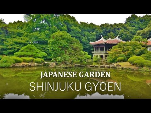 Video: Un ghid al grădinii de ceai japoneză din parcul Golden Gate