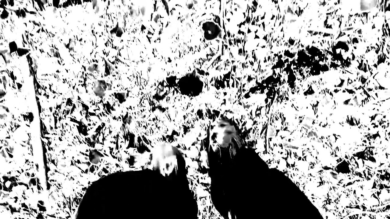 hsop03 95 - a new music composition by me Haldor Paulsson.