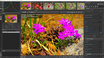 What is saturation? Editing photos in RawTherapee 5.8 | Prof. Rushan Ziatdinov | Keimyung University