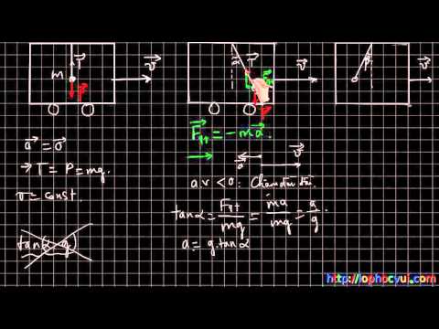 Video Bài 21 Lực quán tính Hướng dẫn giải bài tập trong sách... - YouTube