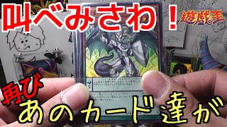 【遊戯王】過去に出てきたアイツらに再開する！【開封】