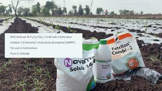NovaTec + Basfoliar Kelp + Fetrilon Combi-2 | The Perfect Combination for the First Drenching in ...