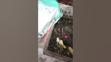 Aerobic vs anaerobic composting