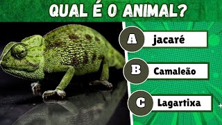 ADIVINHE QUAL É O ANIMAL - QUIZ ANIMAL🐿️ Teste seus conhecimentos sobre os animais🧠 #quiz #animais