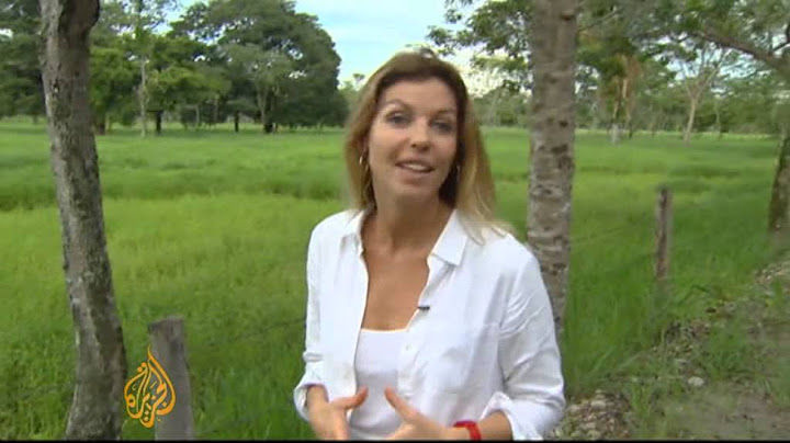 Colombians split on peace talks