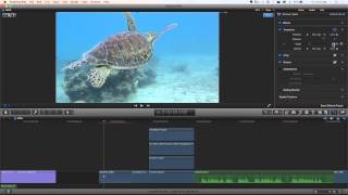 MacBreak Studio: Ep. 315 - Saving Transform Presets