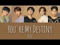 『You're My Destiny』디원스(D1CE)日本語字幕【リクエスト】