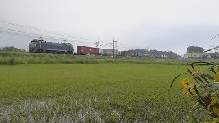 【EF65/EF66】東北線 東大宮-蓮田(52)  貨物列車㉙【EH500】