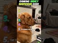Ranking HIGHLY Suspicious Dogs 🤨 #shorts