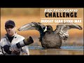 Bird Photography Budget Gear Challenge $1000 | Can I Take Good Shots With An Old 10mp Camera