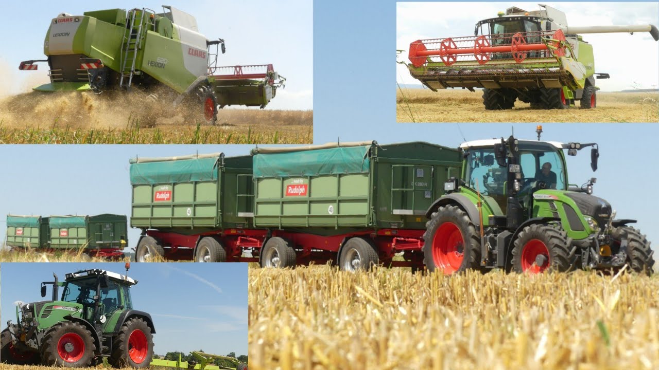 Getreideernte 2023/ Claas Lexion 620/ Fendt Vario 514, 309