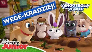 🐰🥕 Mopsy łapią pożeracza warzyw! | Bingo i Rolly w akcji | Disney Junior Polska