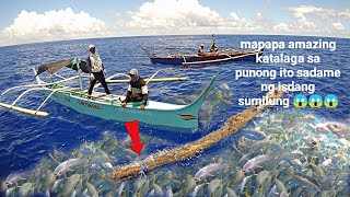 Ep40 super amazing anim natulidang galonggong #netfishing #fishing #fishingvideo