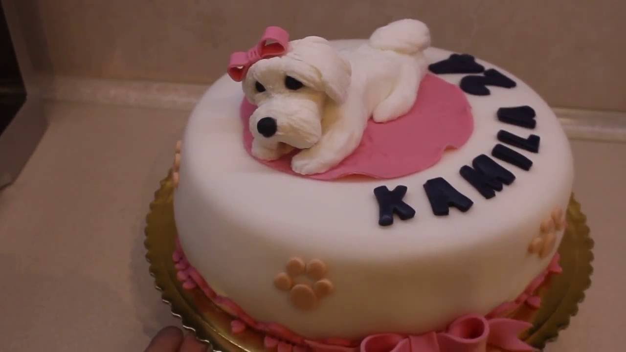 Maltese dog cake , Tort z maltanczykiem YouTube