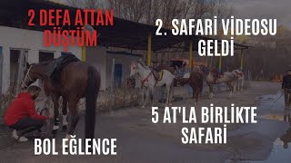 2.SAFARİ VİDEOSU ,2 DEFA ATTAN DÜŞDÜM, 5 AT BOL AKSİYON , TÜRKÜLERLE SOHBET ,DOLU DOLU 50DK