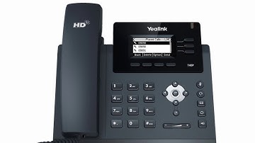 T40P IP Phone - History
