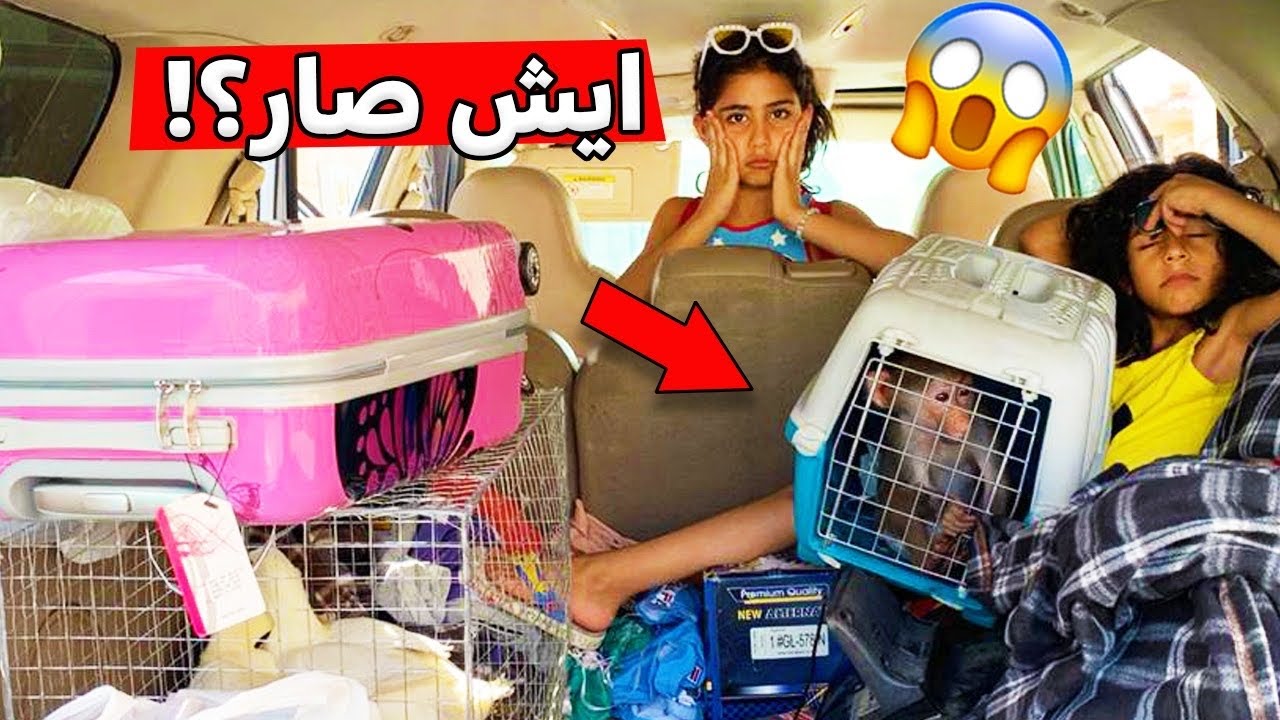 رحلة الشاليه واخذنا عبسي والبط شوفو ايش صار😭🔥