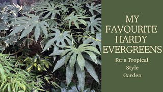 Hardy Evergreen plants for a U.K. tropical style garden.