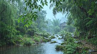 No Ads. Heavy Rain Sounds on a Flowing Stream Help You Fall Asleep Fast | ASMR Nature Sounds screenshot 4