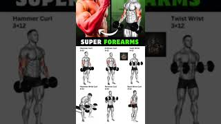 Forearms Workout Using Dumbells 💪🏻 || Stoic Sweat || #gym #shorts #viralshorts