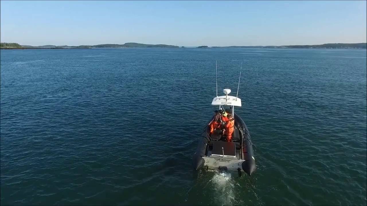 NEW BRUNSWICK TODAY YOUTUBE visual data 5