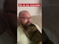 Реакция кошки на встречу с хозяином
