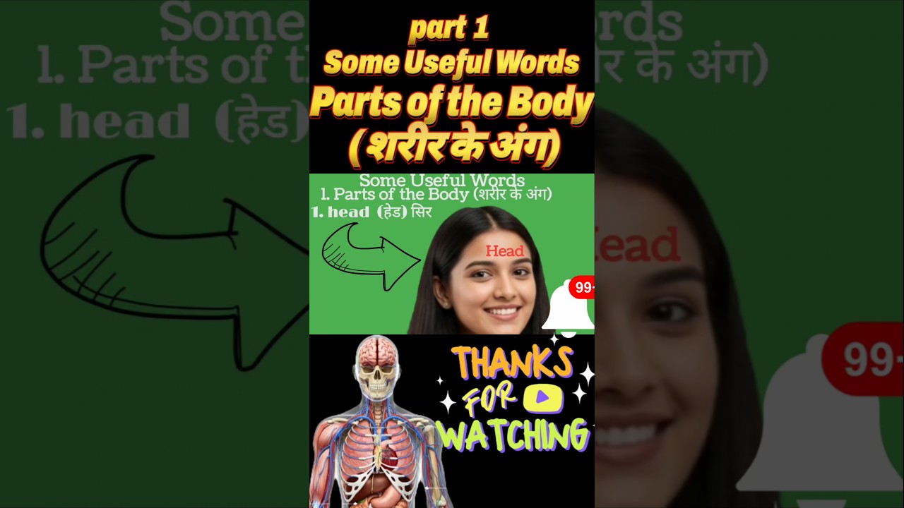 Learn Body Parts in English & Hindi (Part 1) | शरीर के अंगों के नाम 🧠 